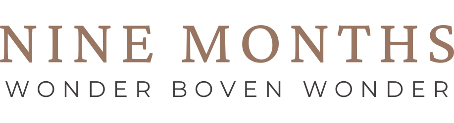 NineMonths Logo